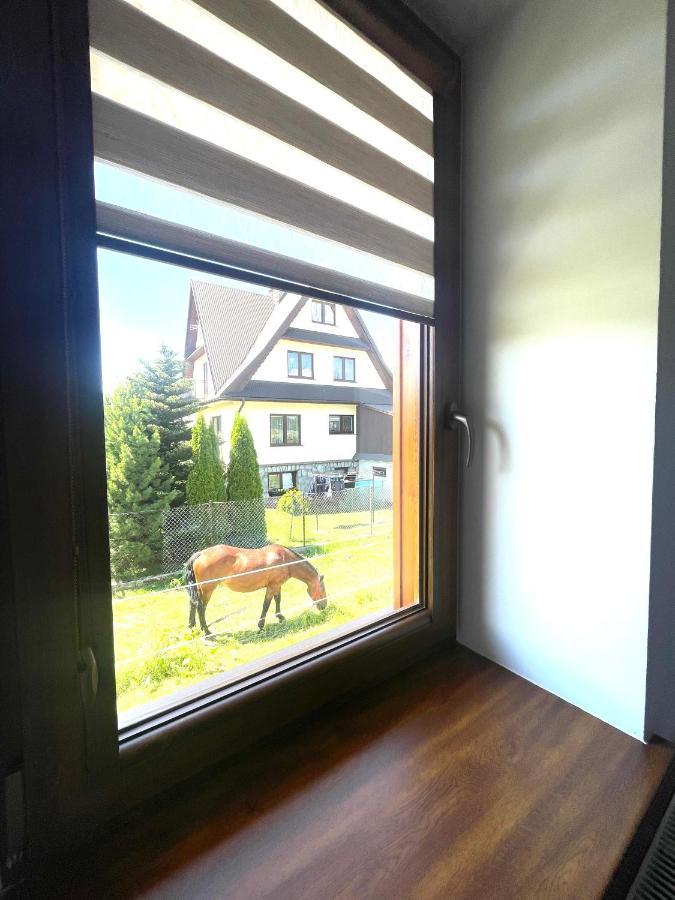 Gasienicowy Widok Poronin Esterno foto